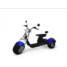 Электросамокат TRIKE Pro 2000 W АКБ 20 Ач