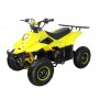 Детский квадроцикл ATV Classic 6Е (600W)